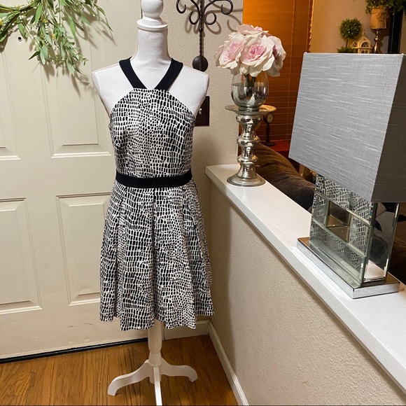 Zola' Print Cotton Fit & Flare Dress By TRINA TURK - Picture 7 of 16